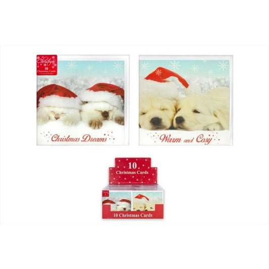 10 Christmas Cards - Cute Cat &amp; Dog