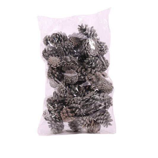 Frosted Pine Cones 1kg