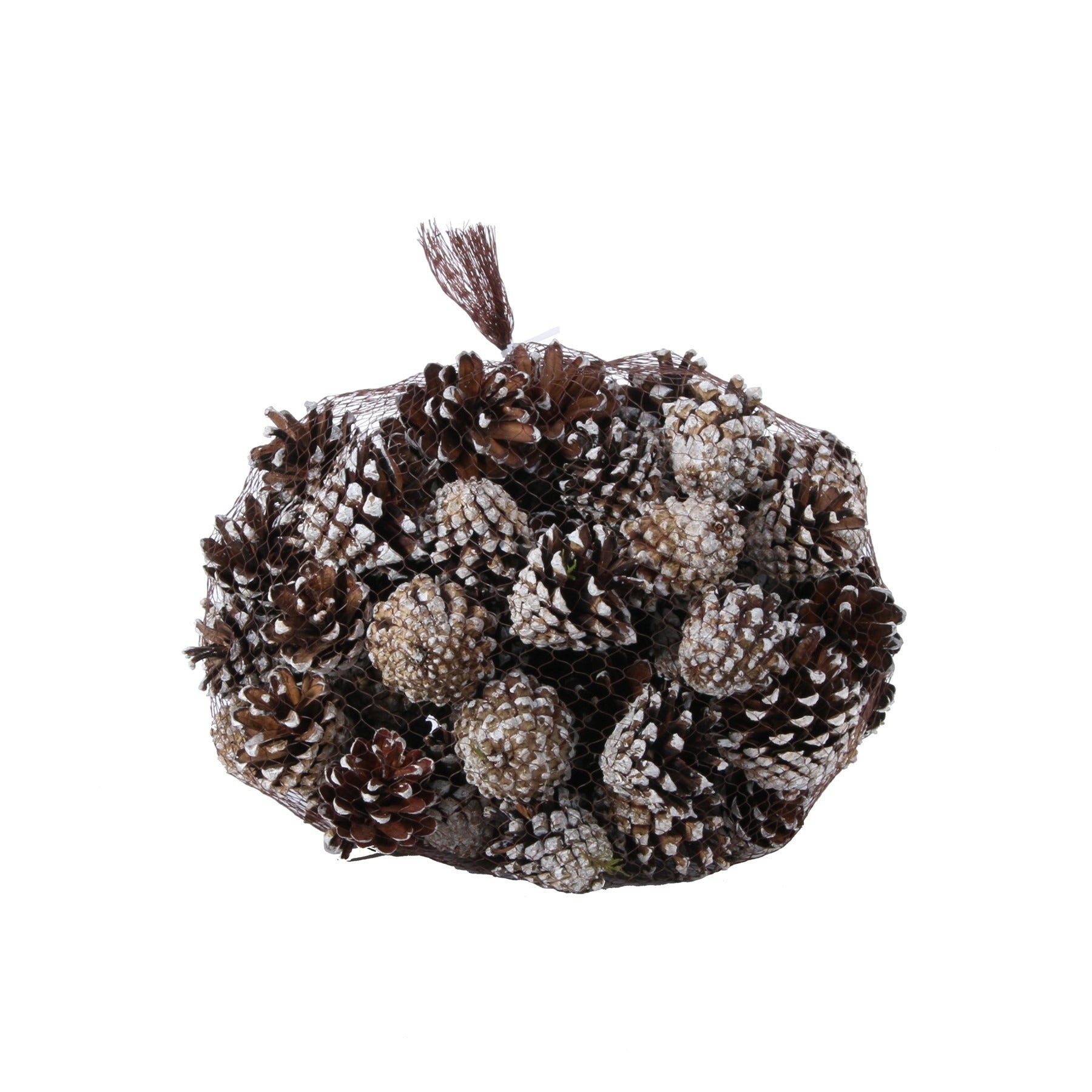 White Tipped Pinus Silvesters Cones (1kg)