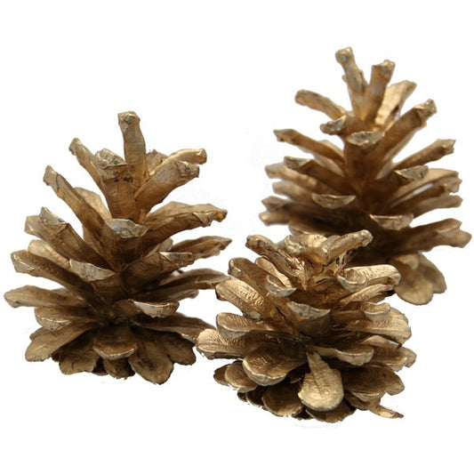 Austriaca Gold Cones