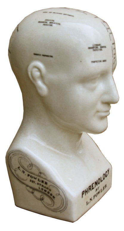 Medium Ceramic Phrenology Head, 25cm-4