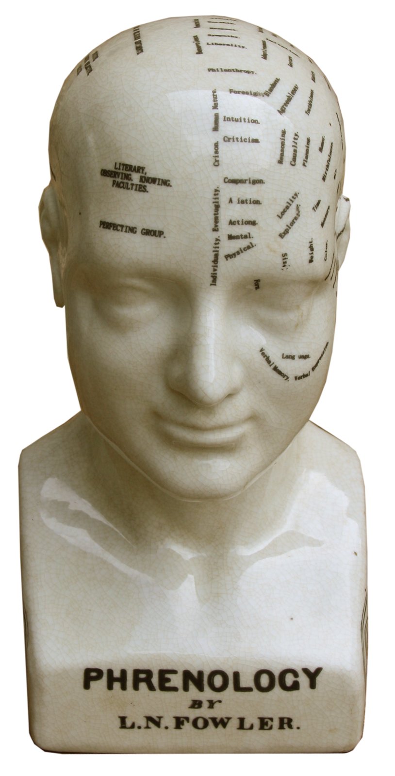 Medium Ceramic Phrenology Head, 25cm-0