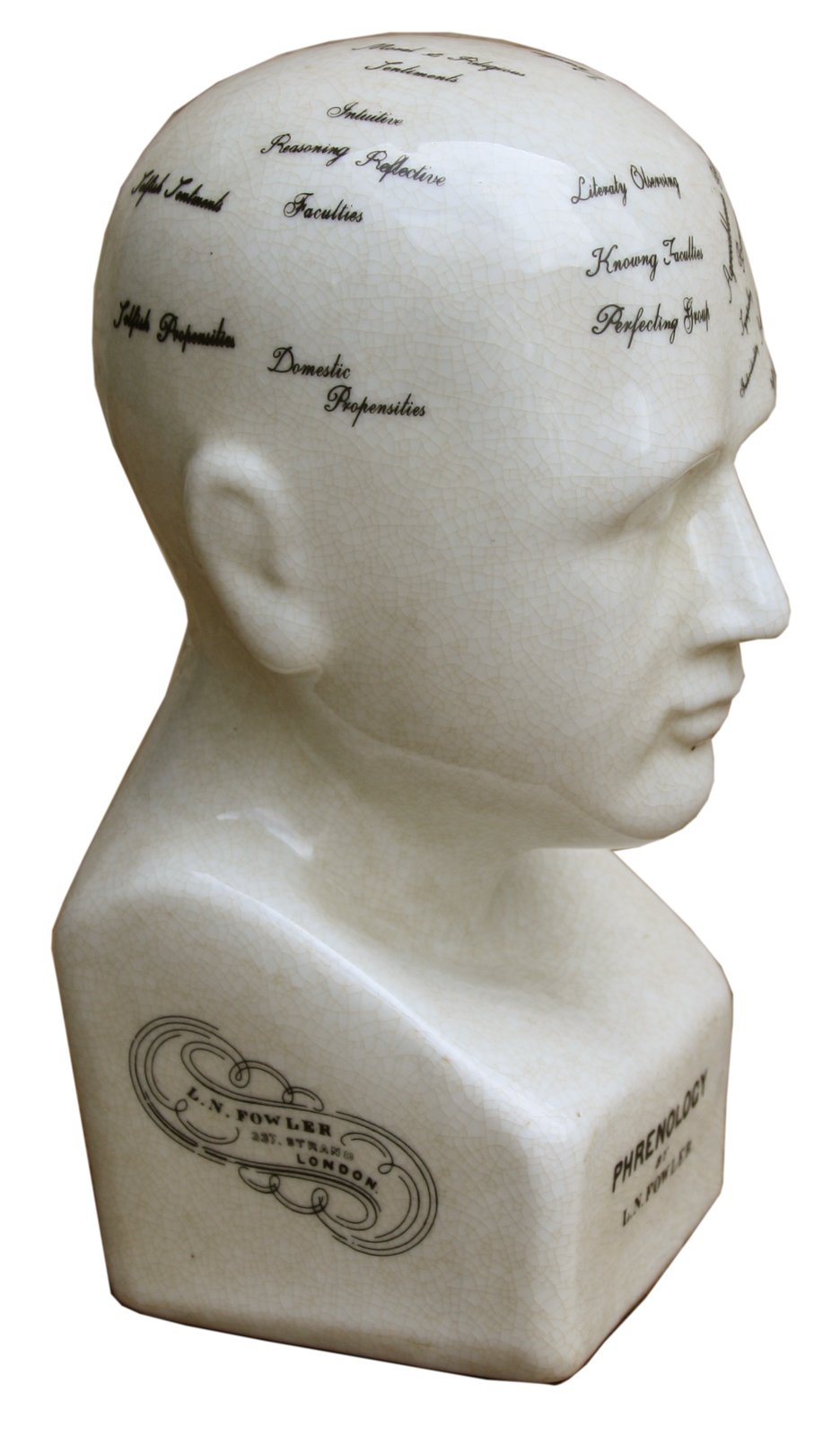 Small Ceramic Phrenology Head 19cm-4