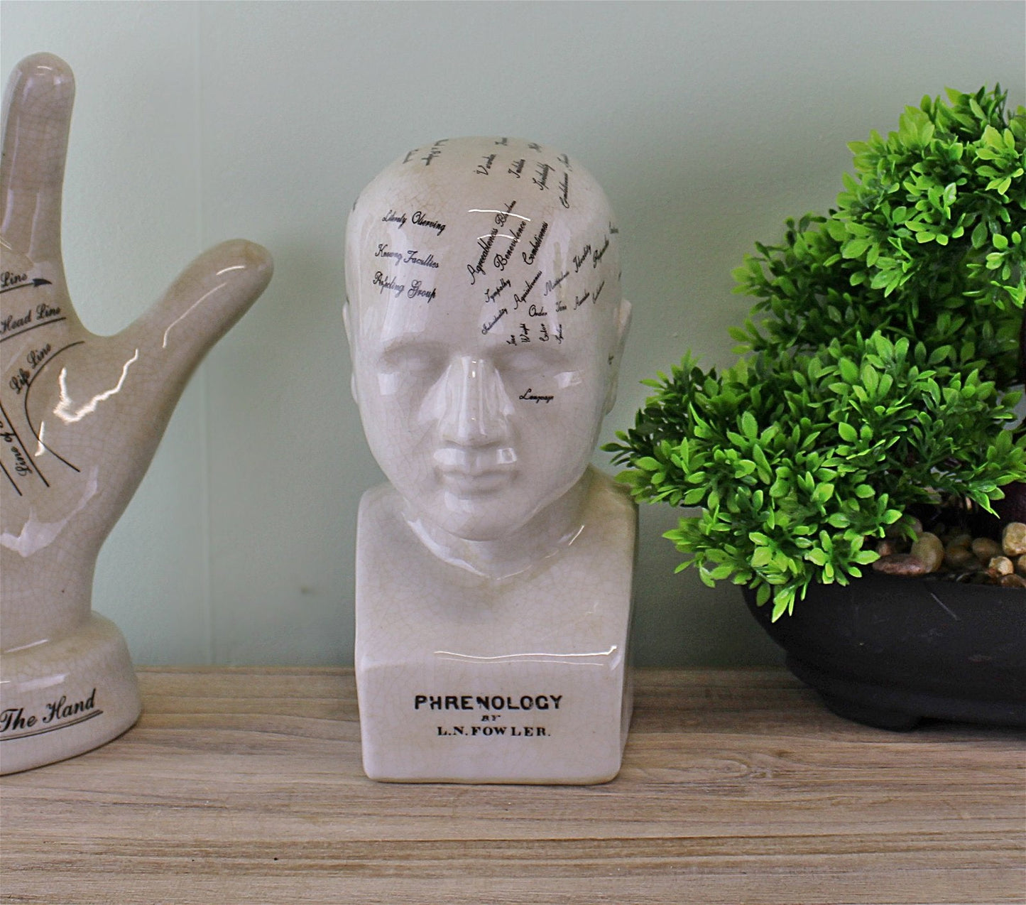 Small Ceramic Phrenology Head 19cm-1