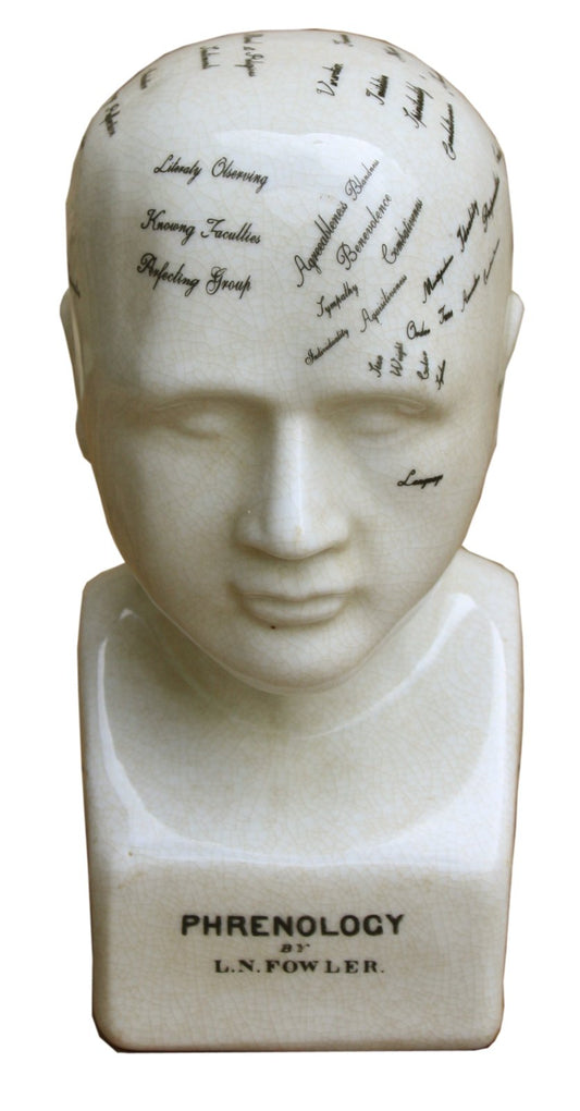 Small Ceramic Phrenology Head 19cm-0