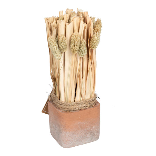 Fluffy Dried Grass Bouquet in Terracotta Pot-0