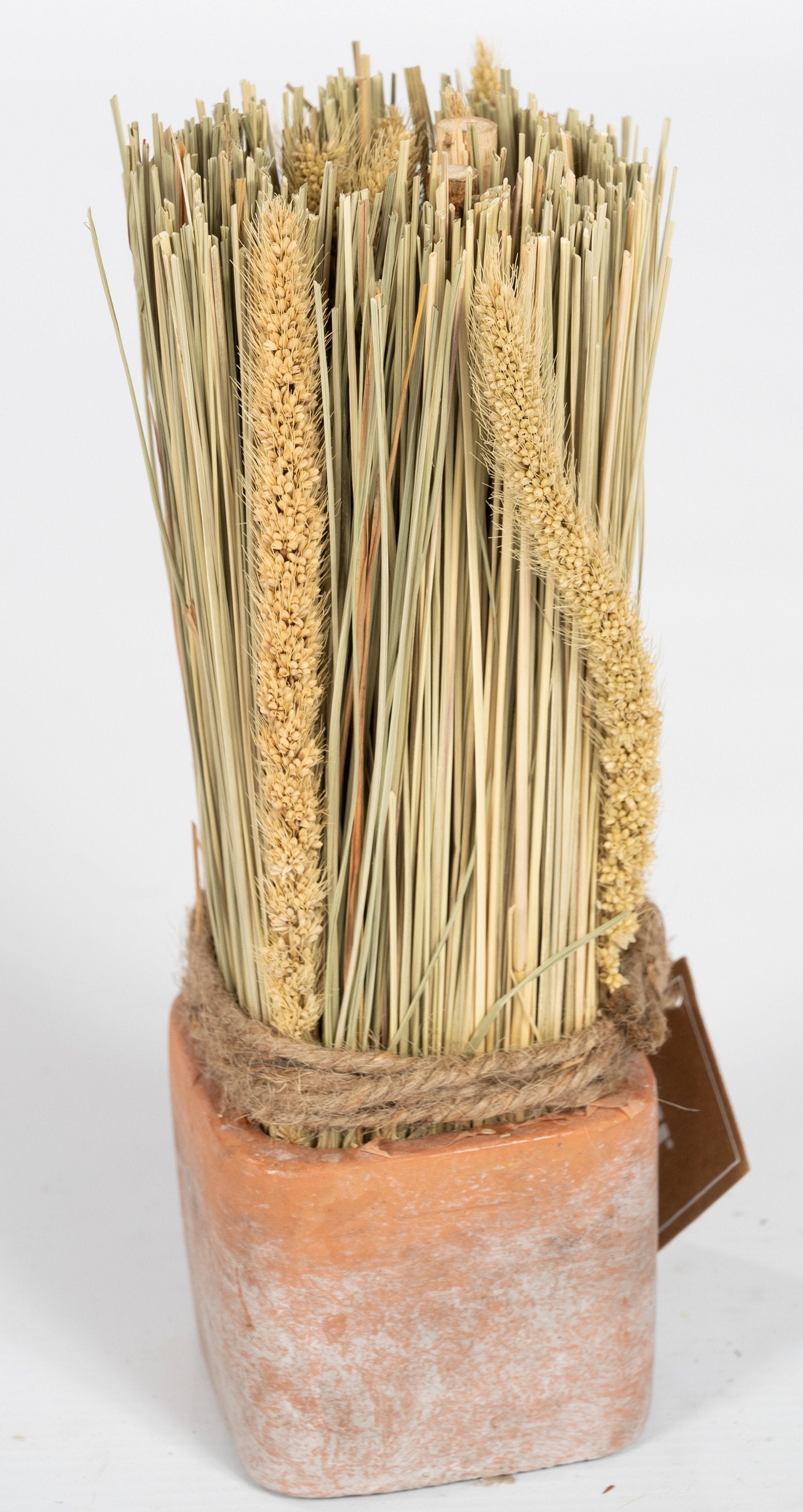 Corn Dried Grass Bouquet in Terracotta Pot-0