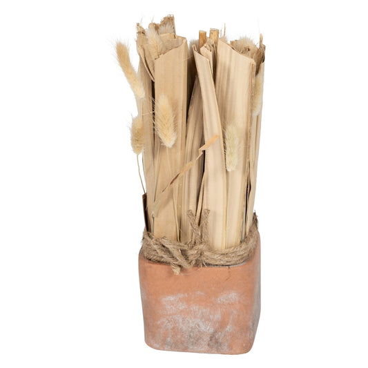 Fox Tail Dried Grass Bouquet in Terracotta Pot-0