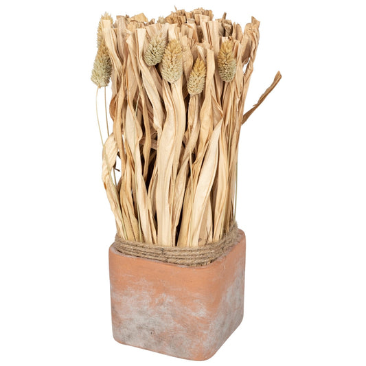 Fluffy Dried Grass Bouquet in Terracotta Pot- Large-0