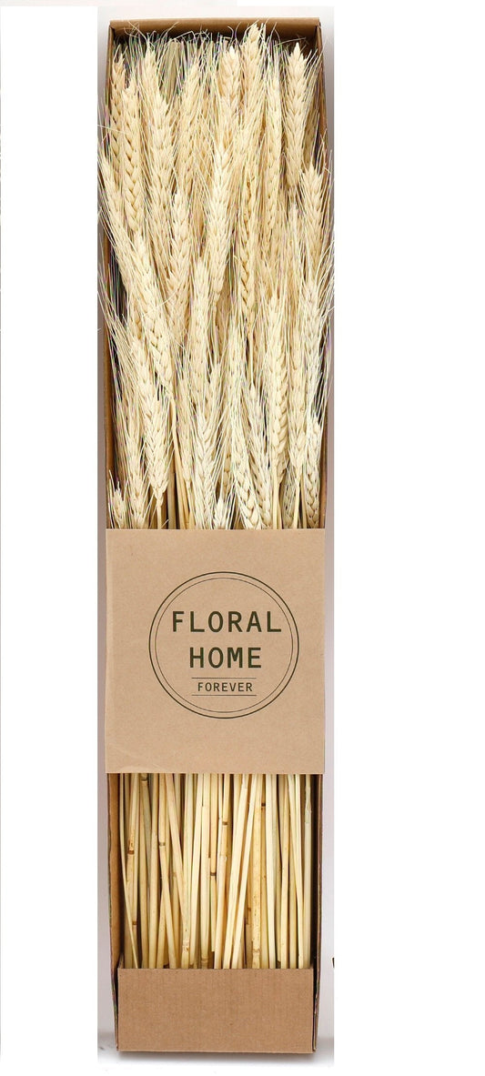 Decorative Dried Wheat 60cm-0