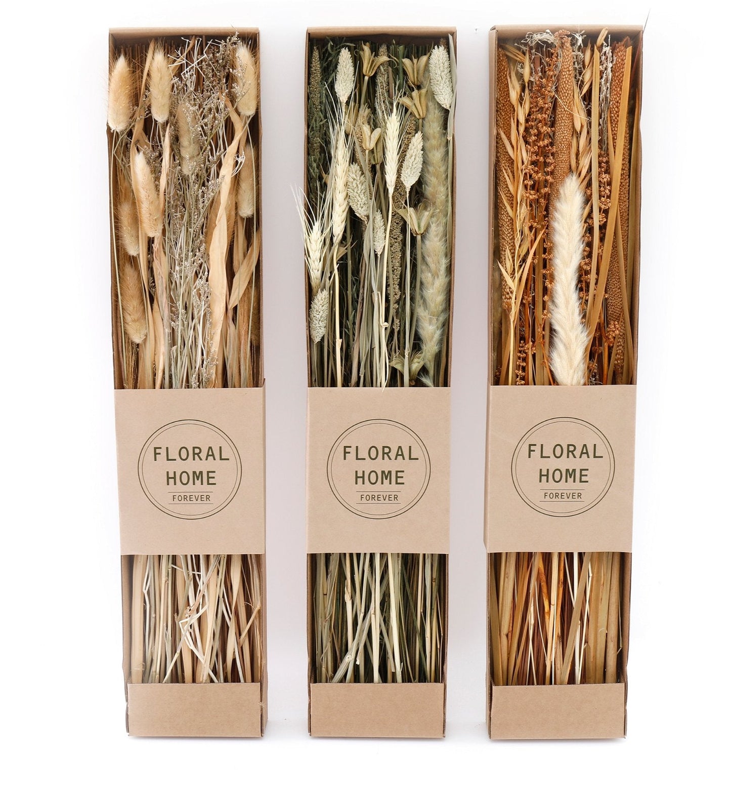 Set of 3 Dried Grasses in Display Box-0