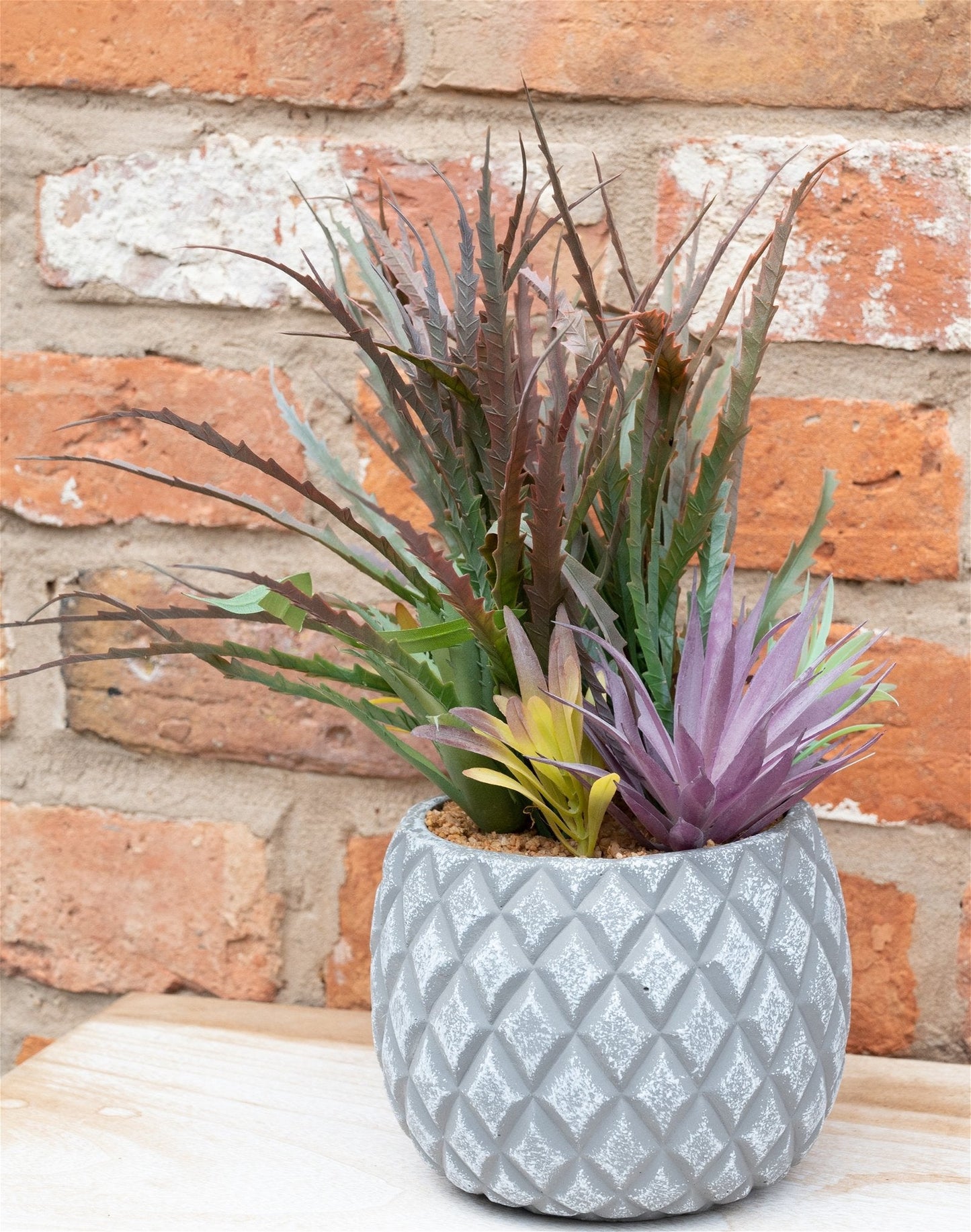 Succulents in Large Lattice Design Grey Pot-3