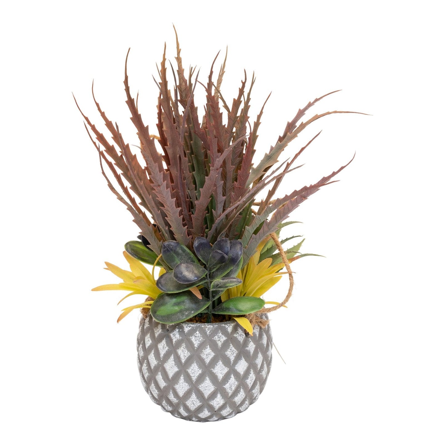 Succulents in Small Lattice Design Grey Pot-3