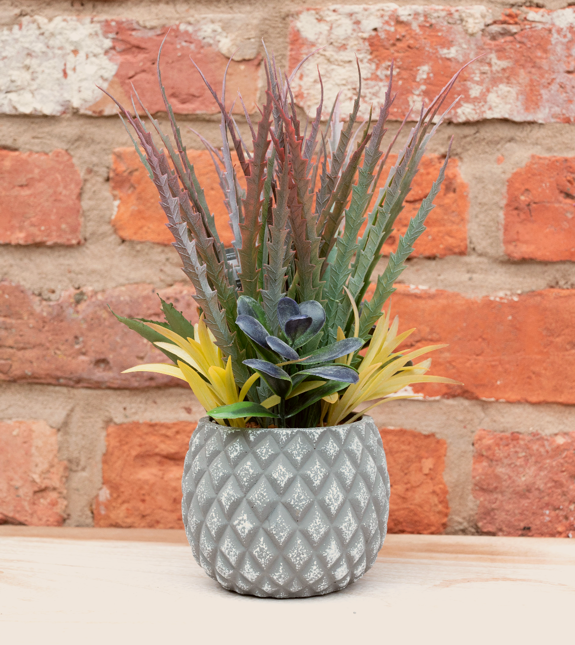 Succulents in Small Lattice Design Grey Pot-2