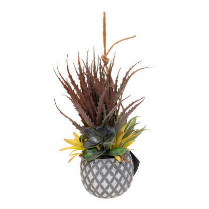 Hanging Succulents in Lattice Design Small Grey Pot-1