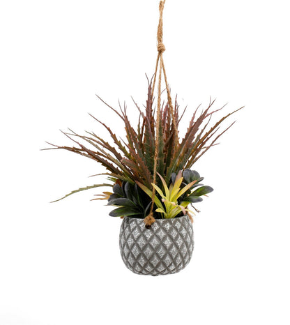 Hanging Succulents in Lattice Design Small Grey Pot-0