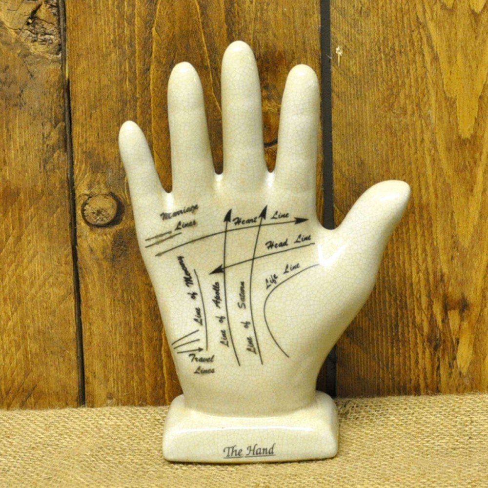 Palmistry Hand 21cm-0