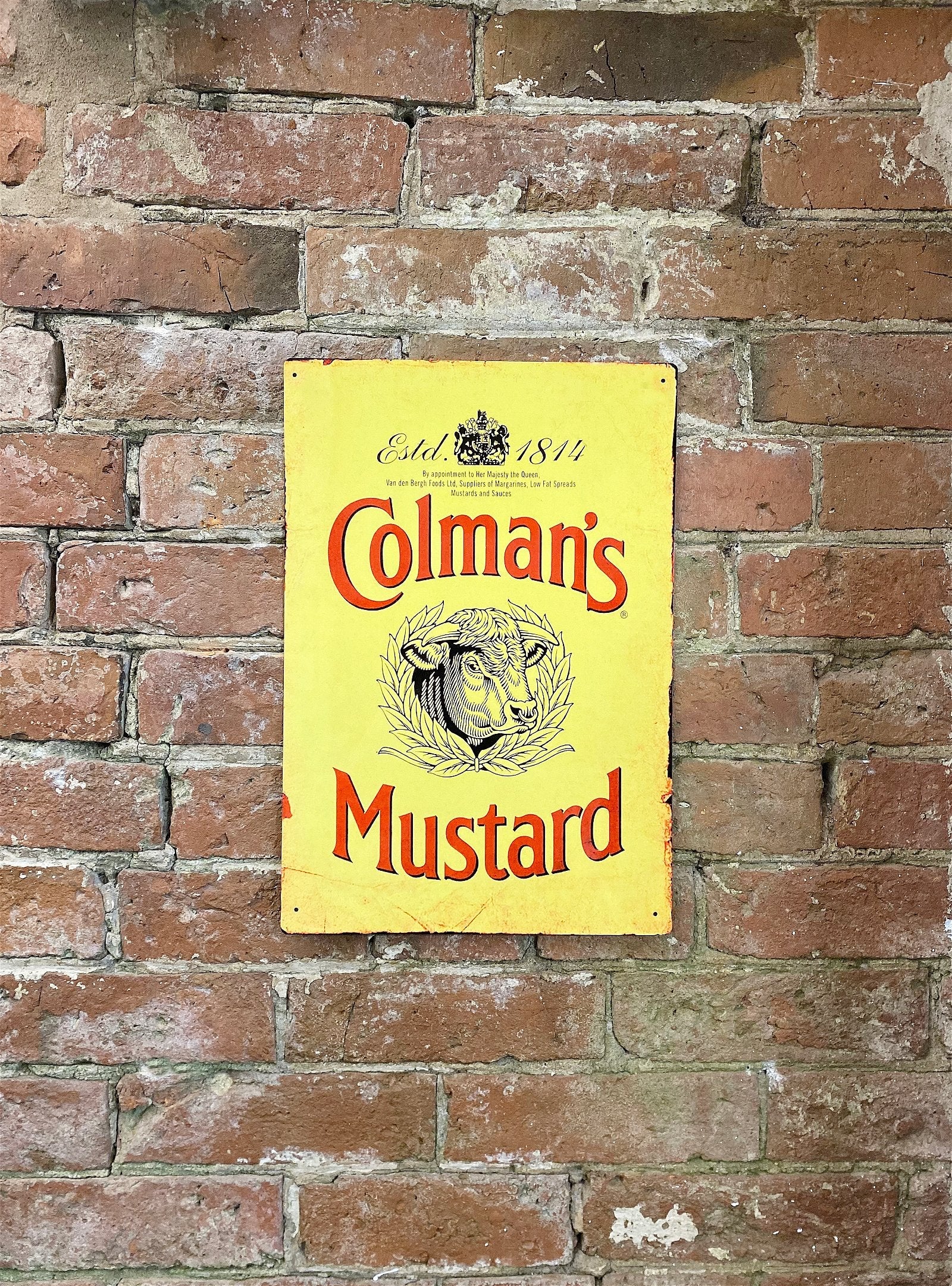 Metal Advertising Wall Sign - Colemans Mustard Yellow-1