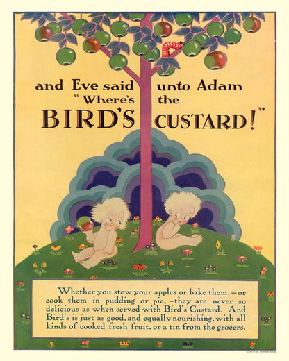 Vintage Metal Sign - Retro Advertising - Birds Custard, Adam & Eve-0