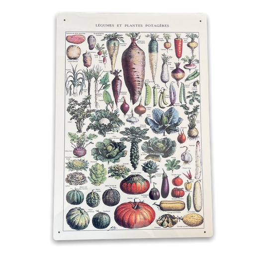 Vintage Metal Sign - Vintage Botanical Kitchen Vegetables Sign-0