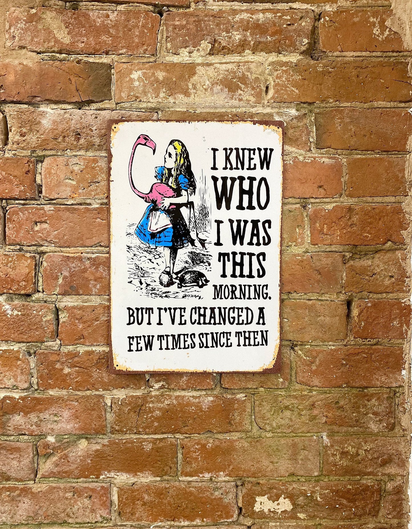 Vintage Metal Sign - Alice In Wonderland - I Knew Who I Was, But I've Changed-1