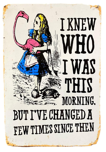 Vintage Metal Sign - Alice In Wonderland - I Knew Who I Was, But I've Changed-0