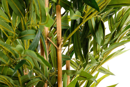 Artificial 6ft Bamboo Tree-1