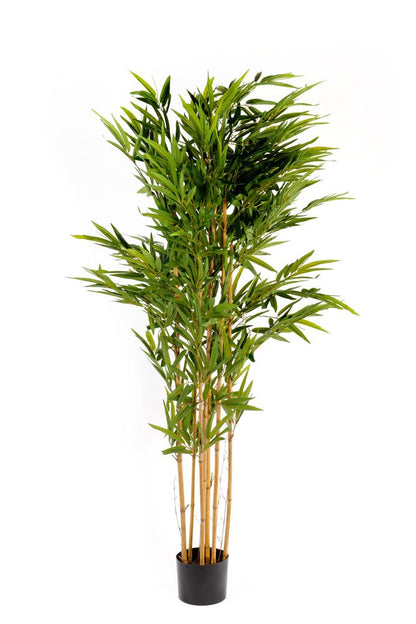 Artificial 6ft Bamboo Tree-0