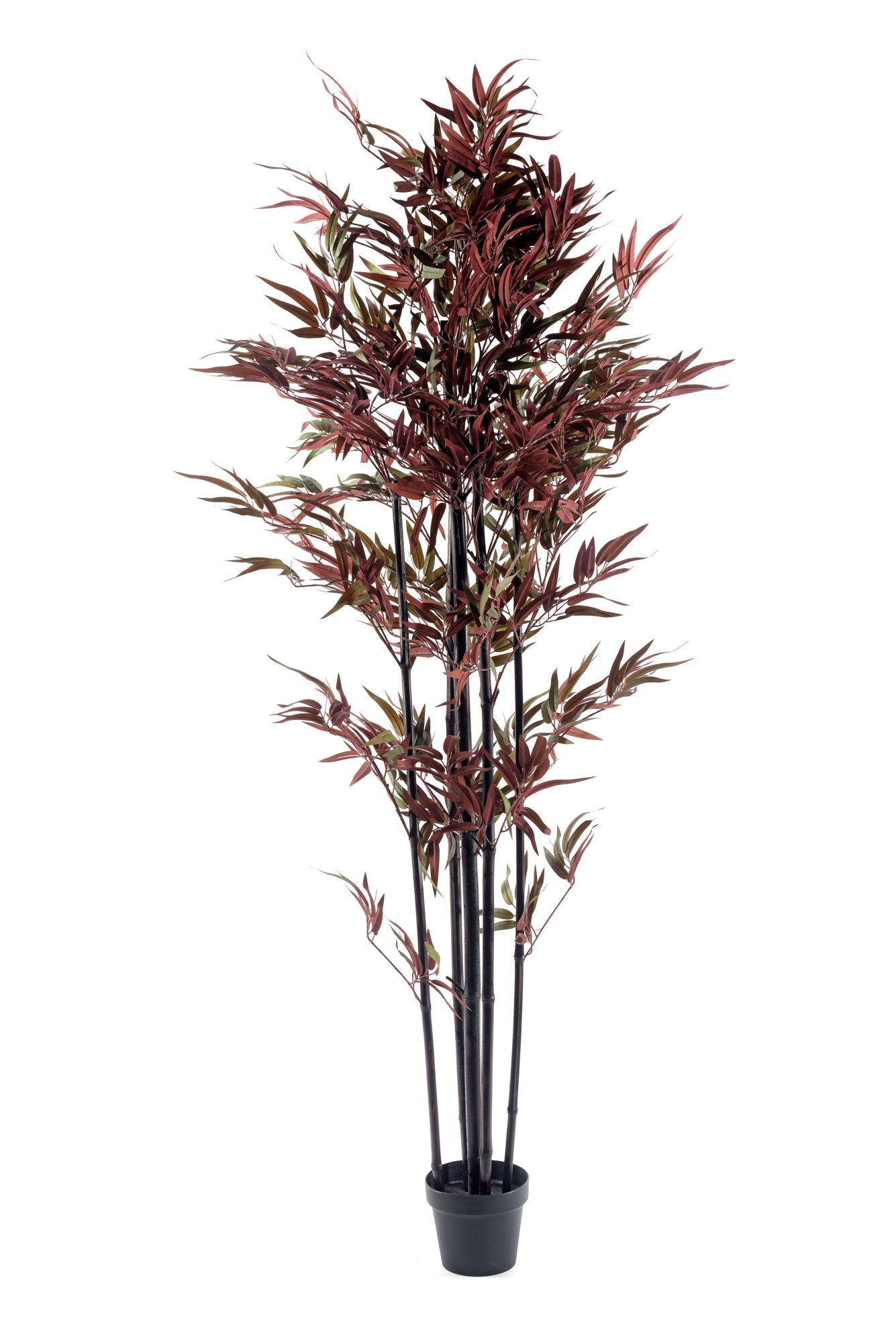 Bamboo Tree Red & Green 180cm-0