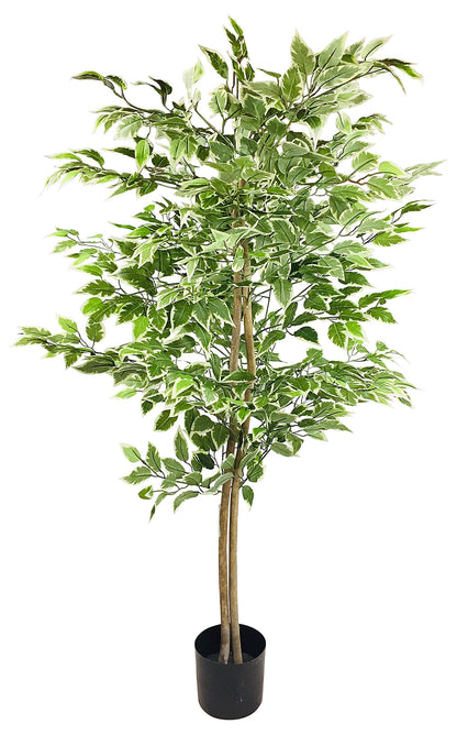 Artificial Ficus Tree With Variegation Leaves 150cm-0