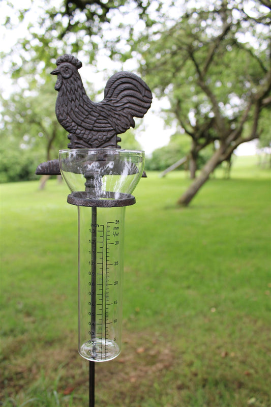 Cast Iron and Glass Garden Rain Gauge, Chicken-0