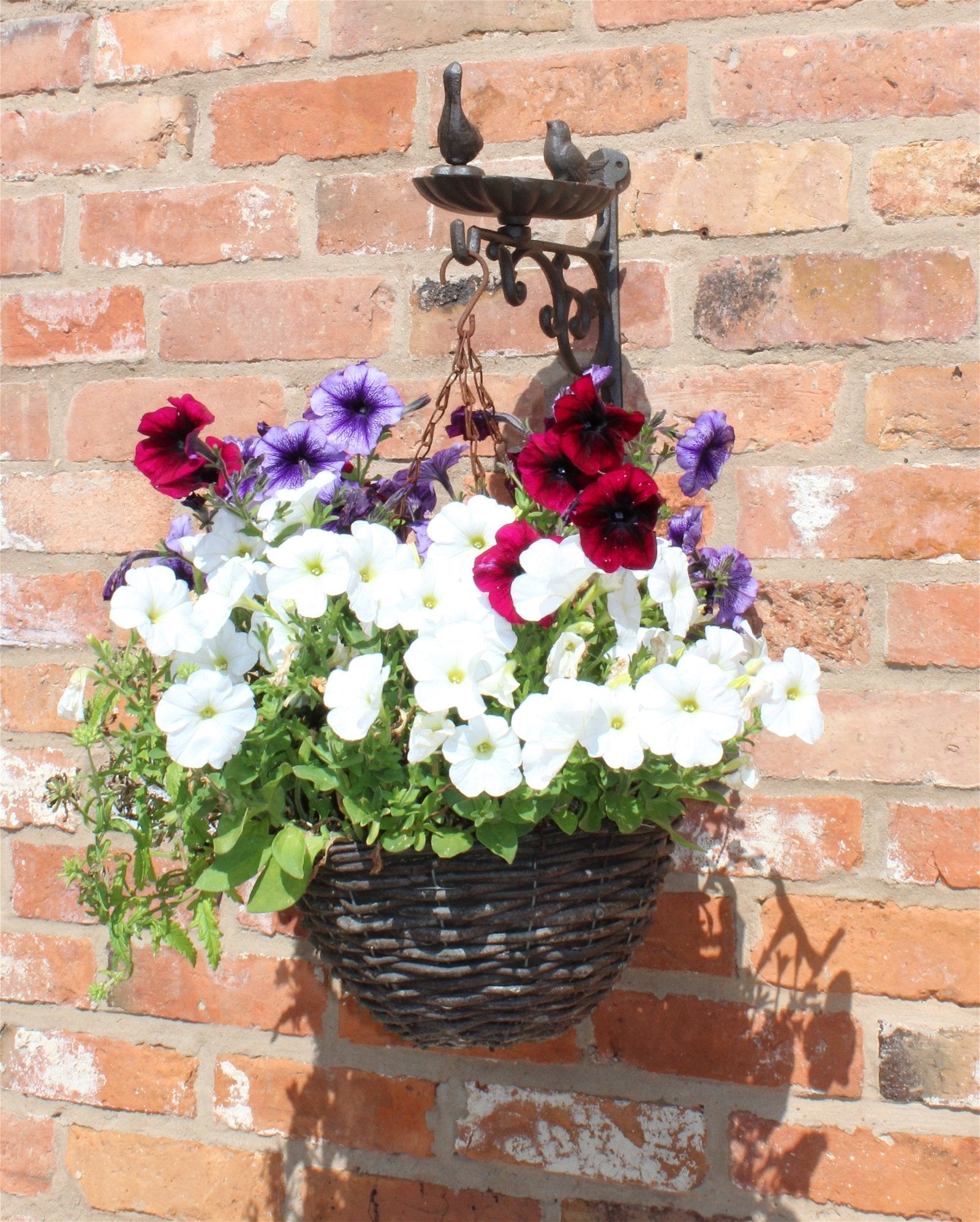 Cast Iron Hanging Basket Wall Bracket With Bird Feeder-3