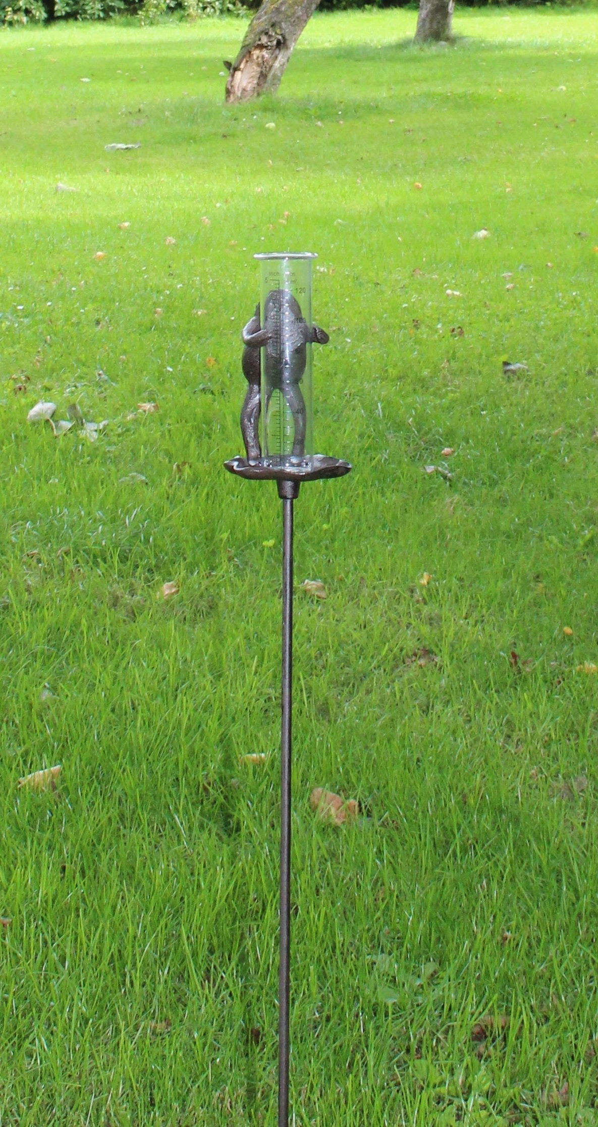 Cast Iron and Glass Garden Rain Gauge, Frog On Lily Pad-3