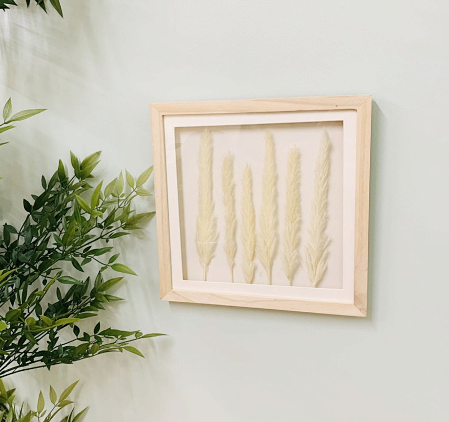 White Pampas In Square Frame 31cm-2