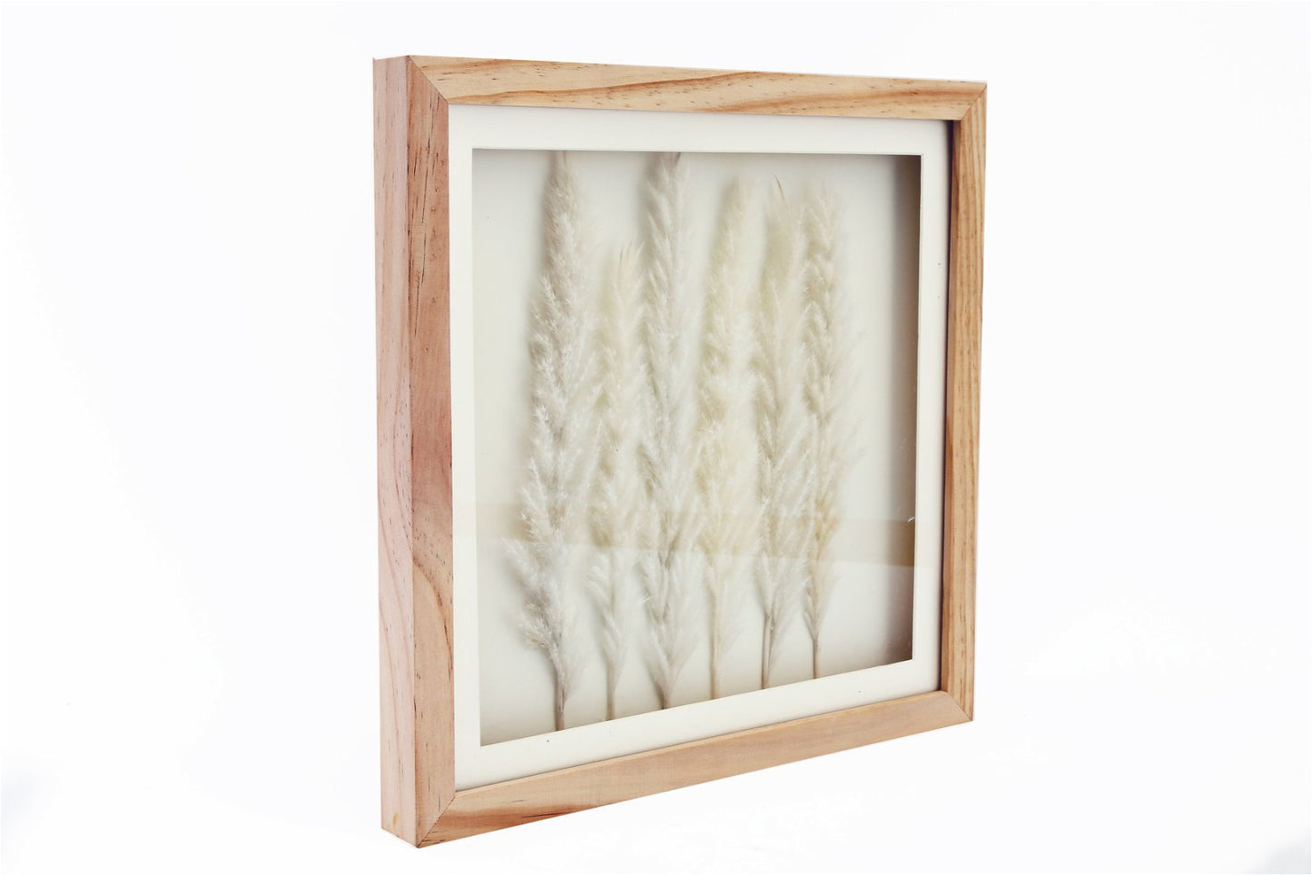 White Pampas In Square Frame 31cm-0