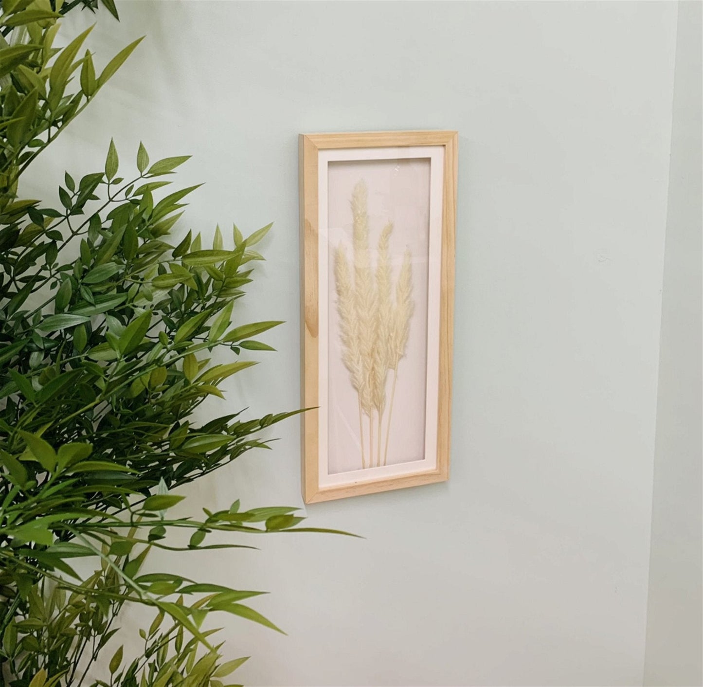 White Pampas In Rectangular Frame 50cm-3