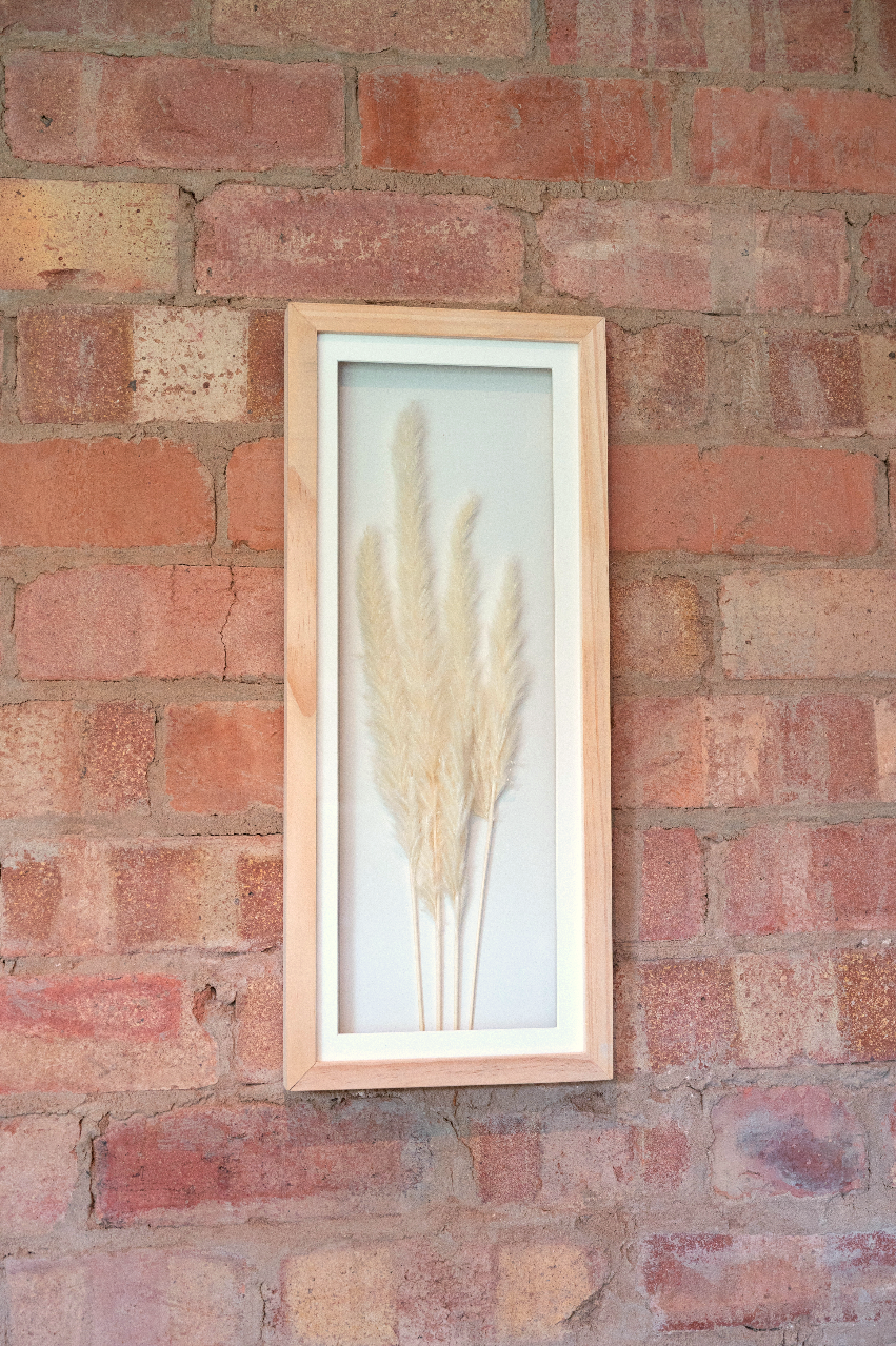 White Pampas In Rectangular Frame 50cm-1