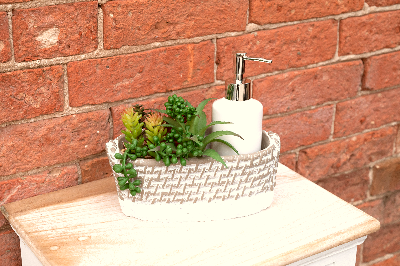 Soap Dispenser Tray with Succulent-1