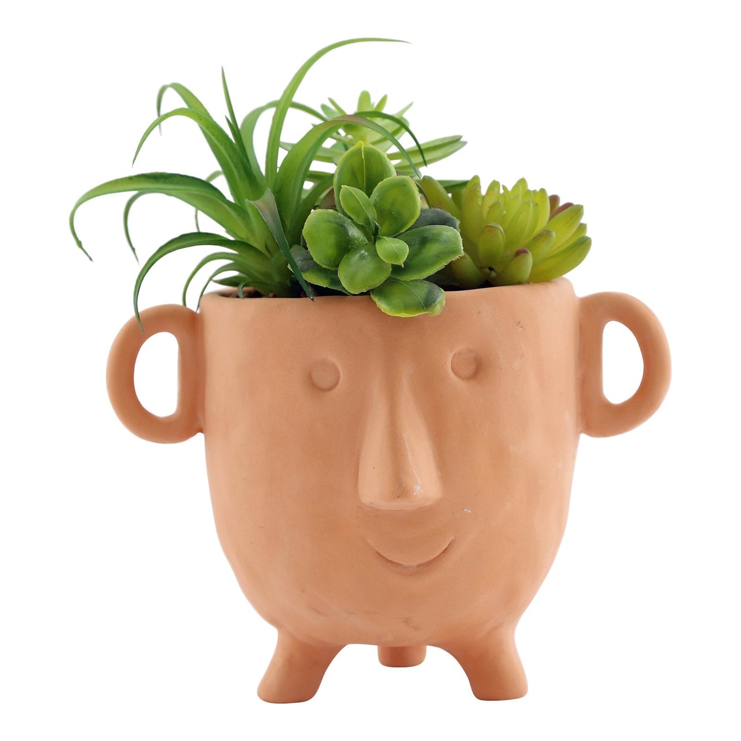 Face Terracotta Pot With Faux Cacti Large-0