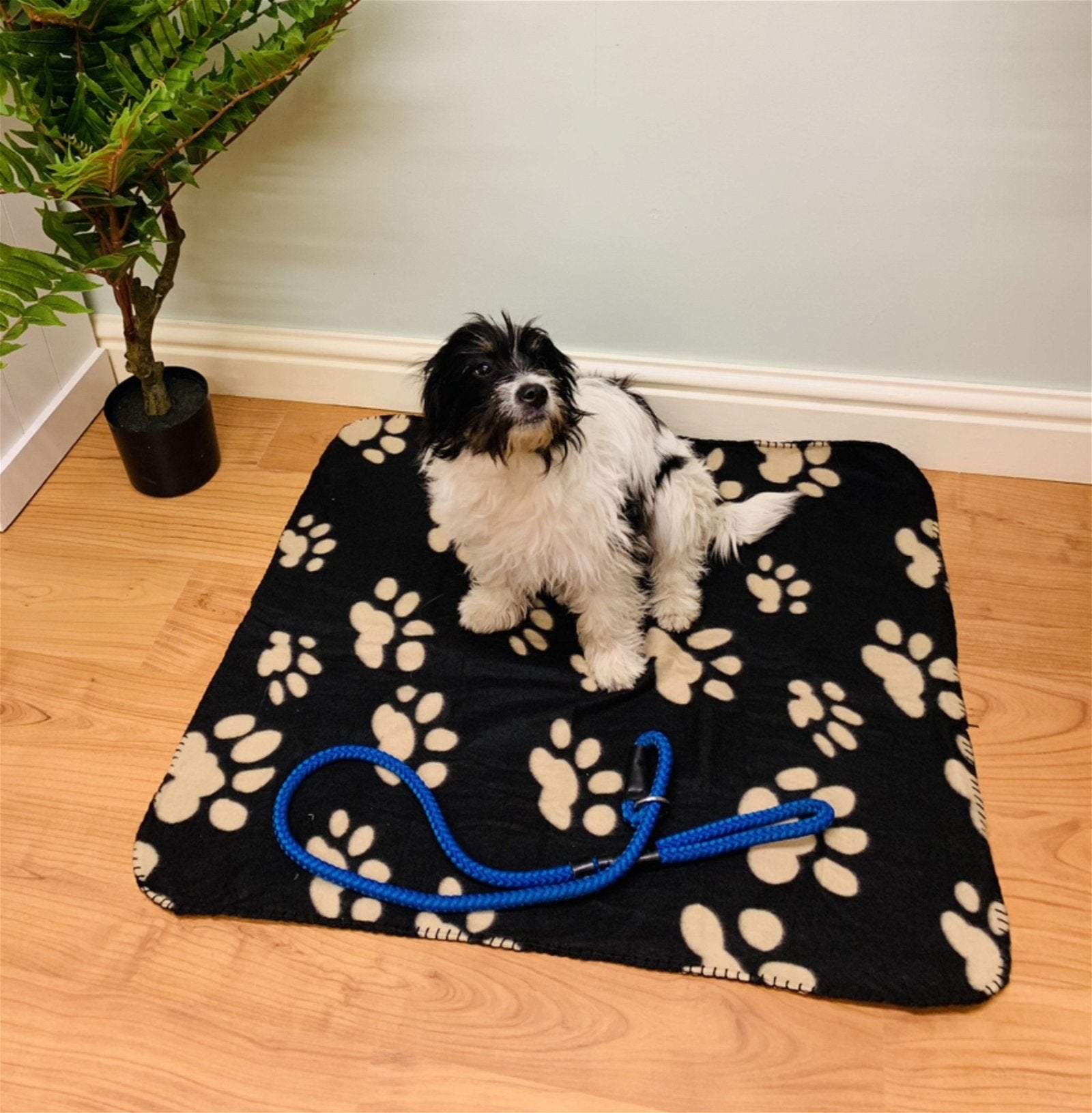 Black Paw Print Fleece Throw 80cm-2