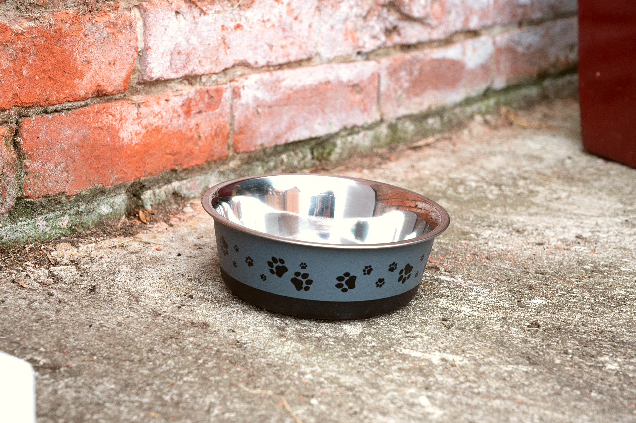 Pet Bowl 1.2 Litre In Cool Grey-1