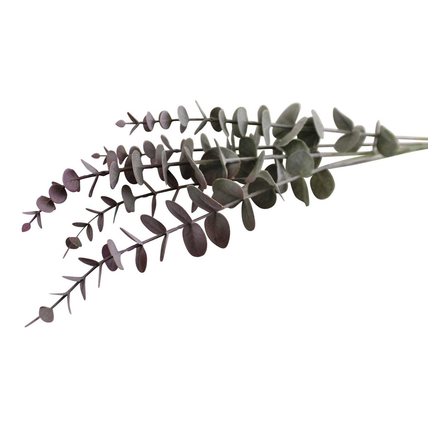 Blue & Blush Coloured Single Spray of Eucalyptus Leaves, 71cm-2