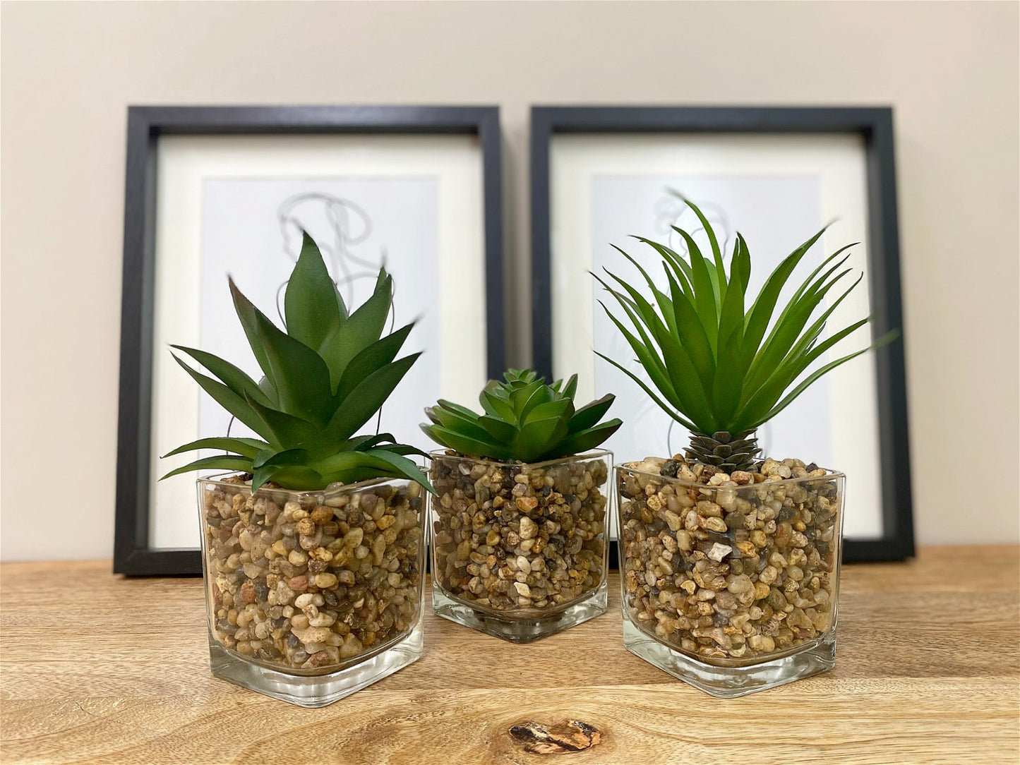 Set Of Three Faux Succulents In Glass Pots-2