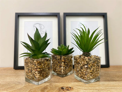 Set Of Three Faux Succulents In Glass Pots-2