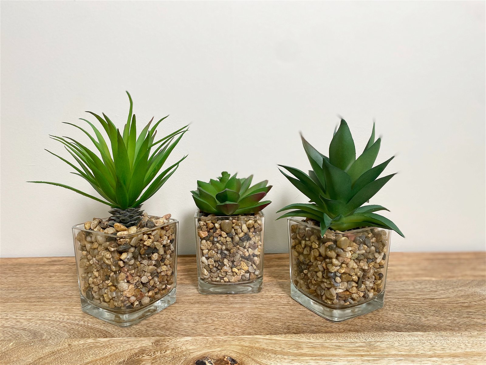 Set Of Three Faux Succulents In Glass Pots-1