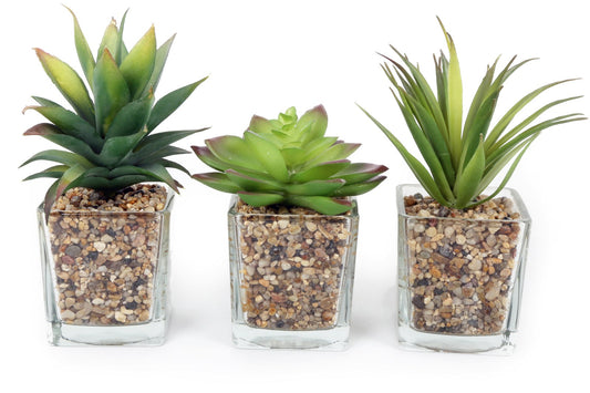 Set Of Three Faux Succulents In Glass Pots-0