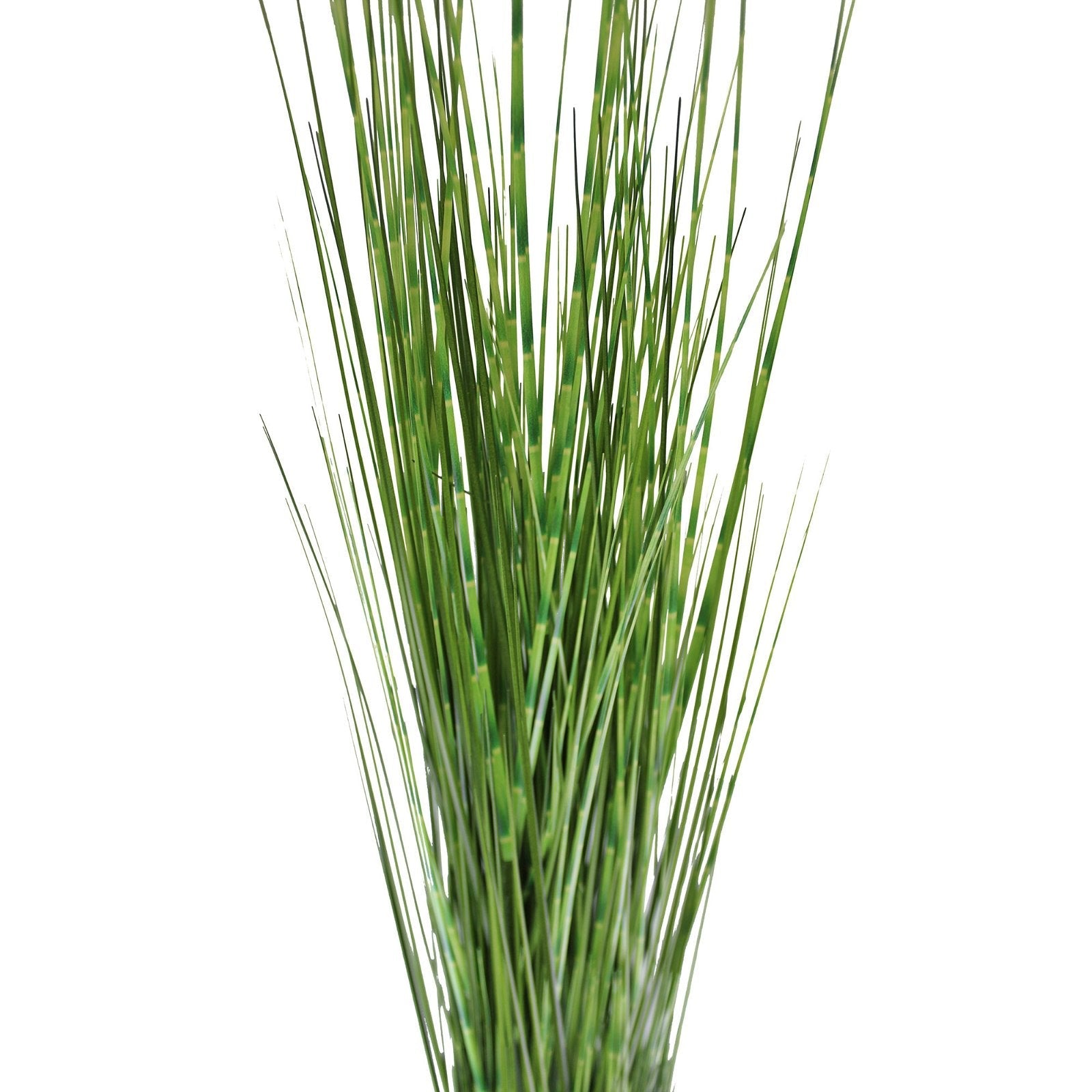 Large Bamboo Spray, 116cm-2