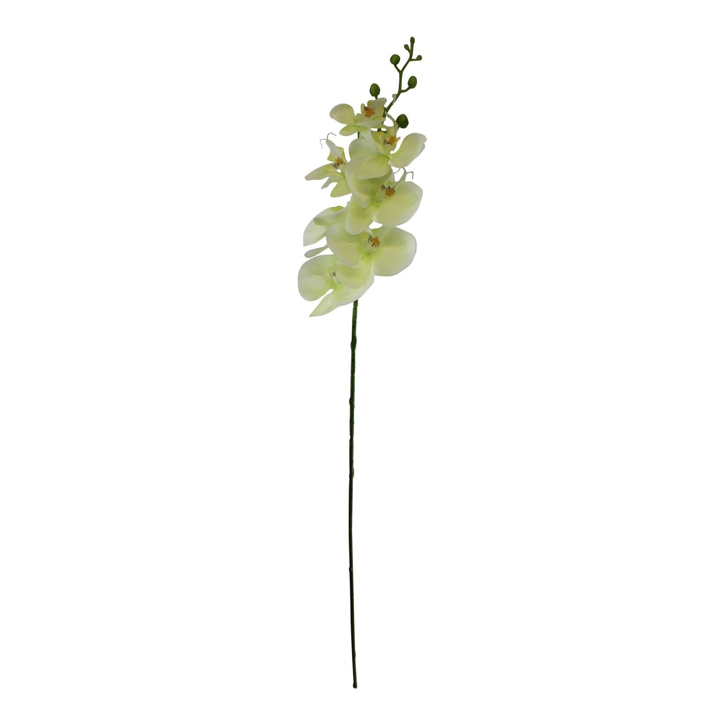 Single Orchid Spray, Cream Flowers, 85cm-0