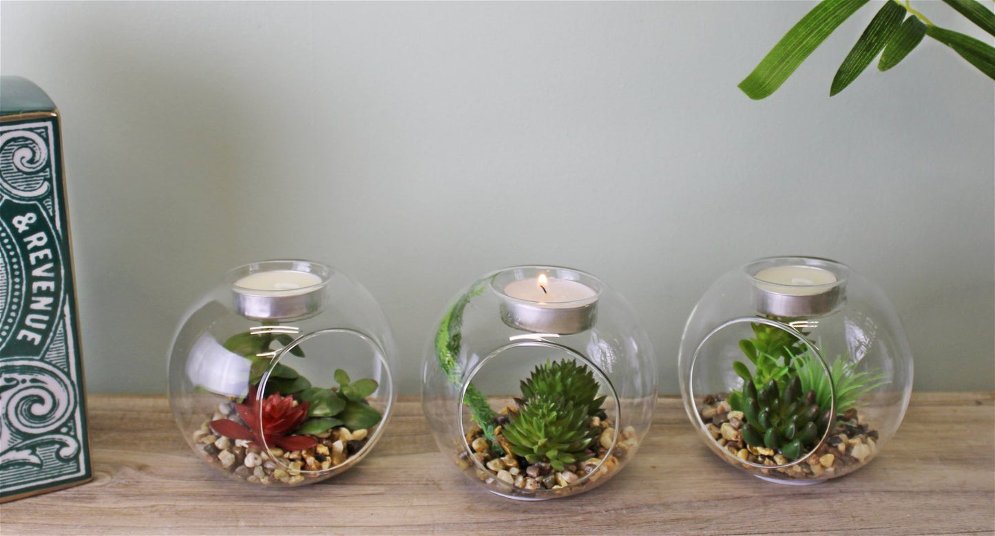 Succulent In Glass Terrarium with TeaLight Holder-1