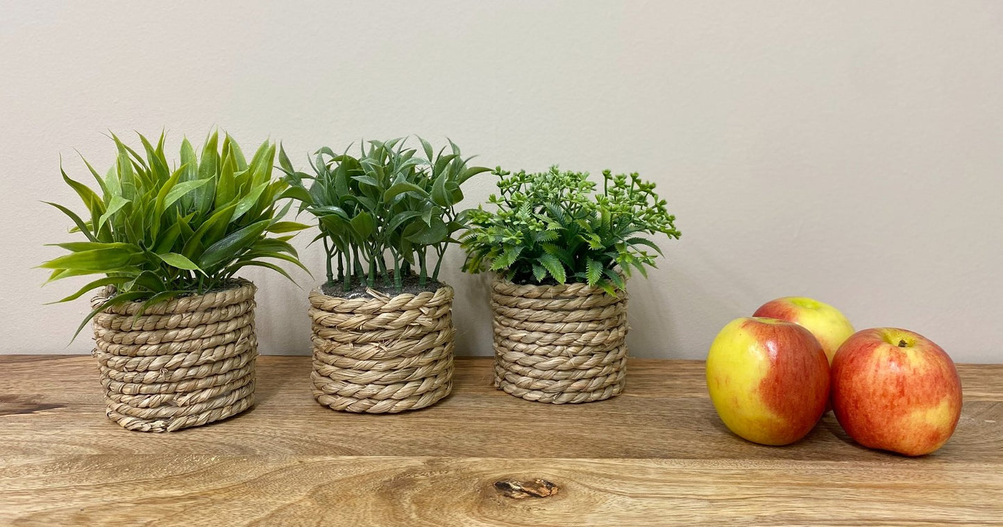 A Set Of Three Rope Effect Pots And Artificial Succulents-2